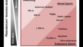 هل يمكن لنظام غذائي منخفض الكربوهيدرات دعم الأداء الرياضي؟