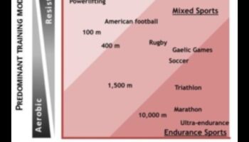 هل يمكن لنظام غذائي منخفض الكربوهيدرات دعم الأداء الرياضي؟