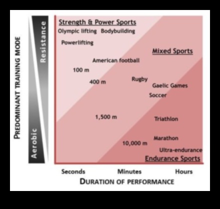 هل يمكن لنظام غذائي منخفض الكربوهيدرات دعم الأداء الرياضي؟