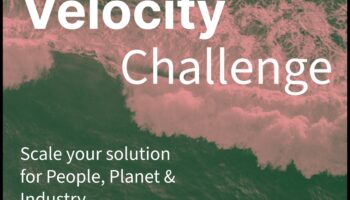 سرعة المشروع: تسريع النجاح من خلال الابتكار في مجال الأعمال