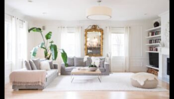 ما هي أفضل اقتراحات ديكور المنزل؟