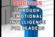القيادة الواعية: الذكاء العاطفي لرجال الأعمال