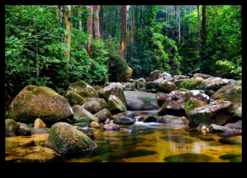 اكتشاف عدن: مجموعة من المناظر الطبيعية الخصبة والهادئة في كل إطار