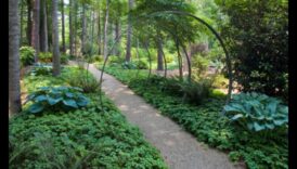 اكتشاف عدن: مجموعة من المناظر الطبيعية الخصبة والهادئة في كل إطار