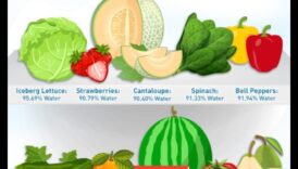 الماء مقابل المشروبات: ما هو مصدر الترطيب الأساسي لديك؟