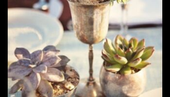 هل يمكنك اقتراح طرق مبتكرة لاستخدام العصارة في الديكور البسيط؟