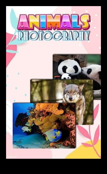 المناظر الطبيعية في التركيز: استكشاف بصري لأجمل مشاهد الأرض