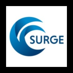 الطفرة الاستشارية: تسريع النمو من خلال الحلول الاستراتيجية