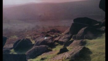 كيف تتغير المناظر الطبيعية أثناء الانتقال من النهار إلى الليل؟