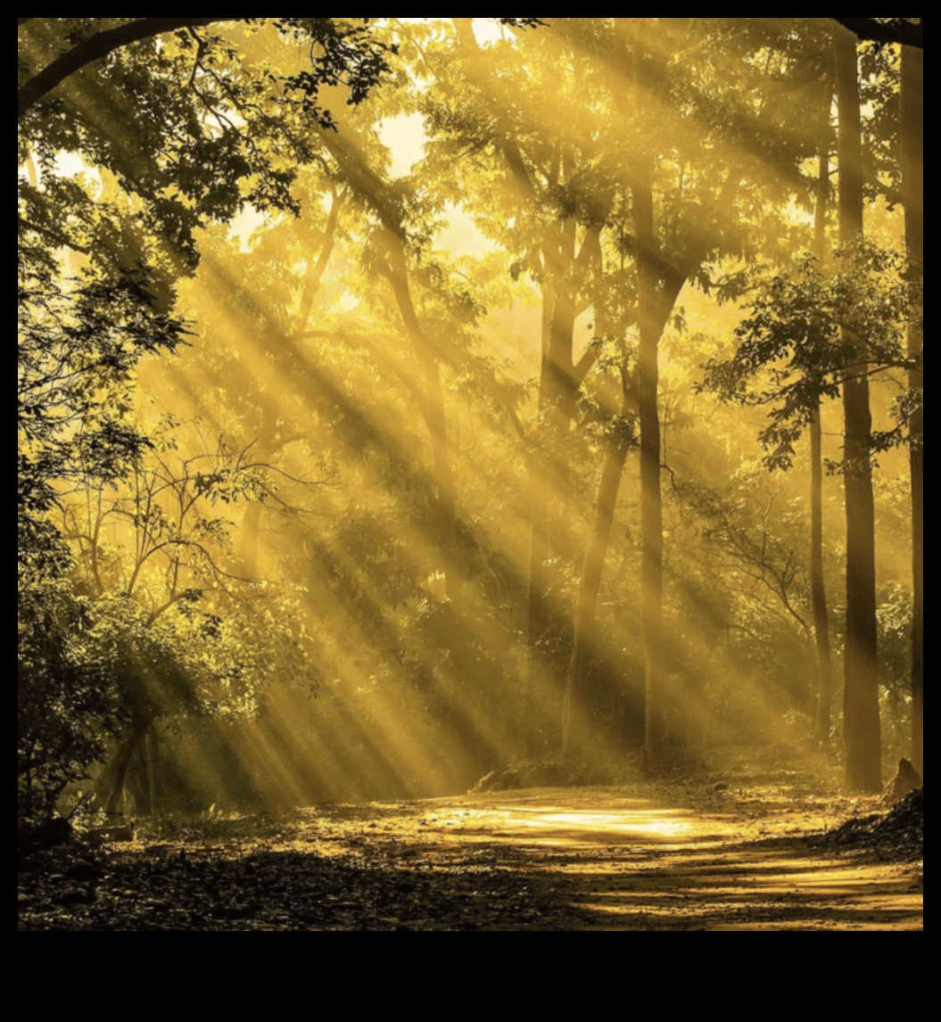 نشوة المناظر الطبيعية: وليمة بصرية لمحبي الطبيعة