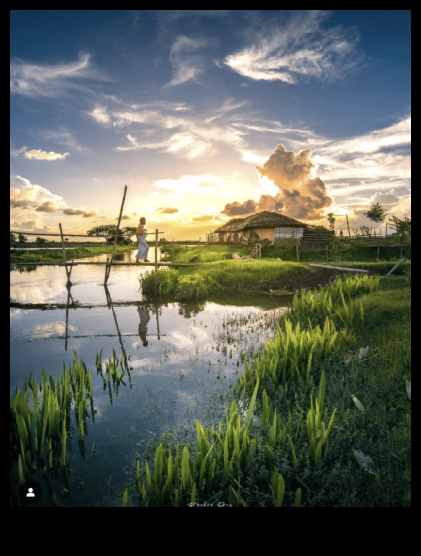 نشوة المناظر الطبيعية: وليمة بصرية لمحبي الطبيعة