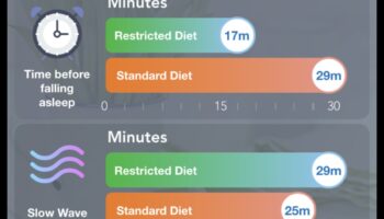 هل يمكن للنظام الغذائي قليل الدهون أن يدعم جودة نوم أفضل؟