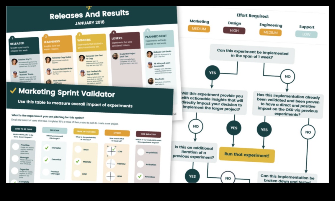 ملاح نمو الأعمال: رسم مسار للنجاح التشغيلي