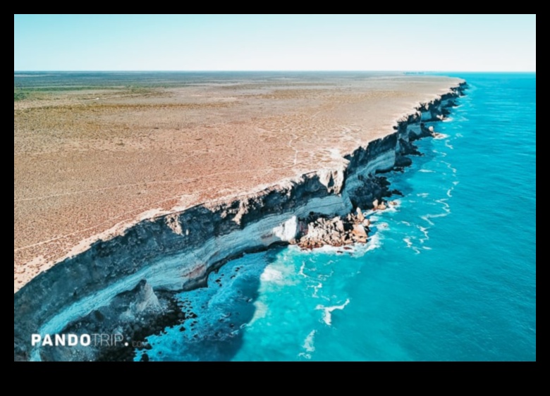 أمواج الجمال: إعادة تصور المناظر الساحلية والساحلية