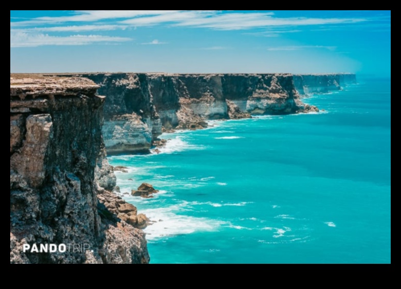 أمواج الجمال: إعادة تصور المناظر الساحلية والساحلية