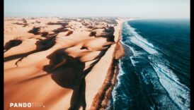 أمواج الجمال: إعادة تصور المناظر الساحلية والساحلية