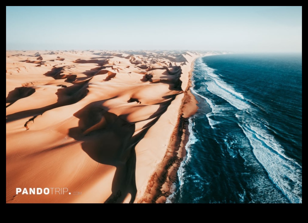 أمواج الجمال: إعادة تصور المناظر الساحلية والساحلية