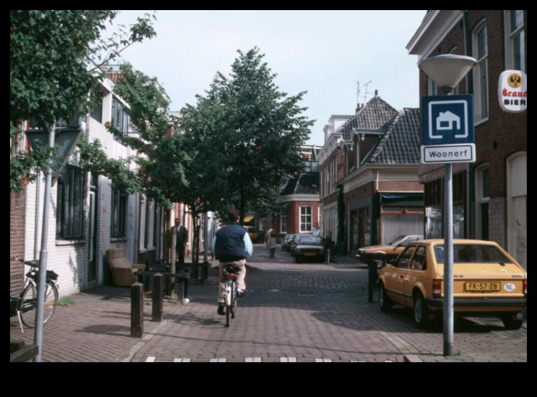 الشوارع على قيد الحياة: الديناميكيات الحضرية في مناظر الشوارع