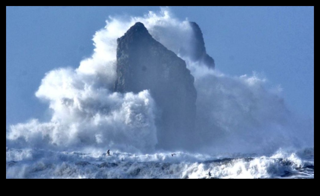 إيقاع الأمواج: كشف النقاب عن المناظر الساحلية والساحلية