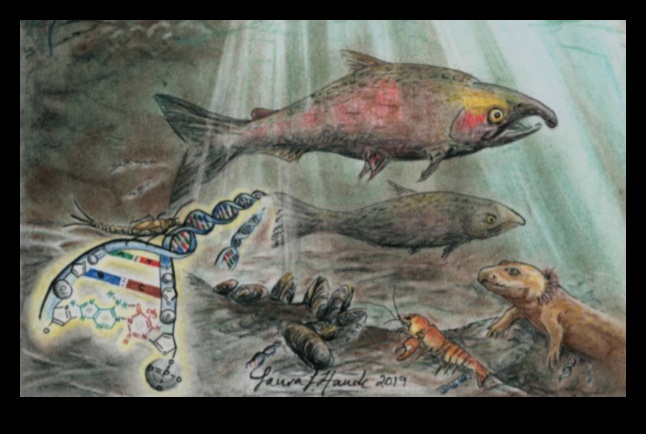 كيف تساهم المسطحات المائية المختلفة في التنوع البيولوجي المائي للمناظر الطبيعية؟