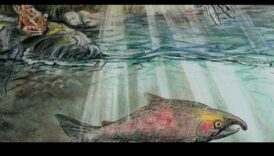 كيف تساهم المسطحات المائية المختلفة في التنوع البيولوجي المائي للمناظر الطبيعية؟