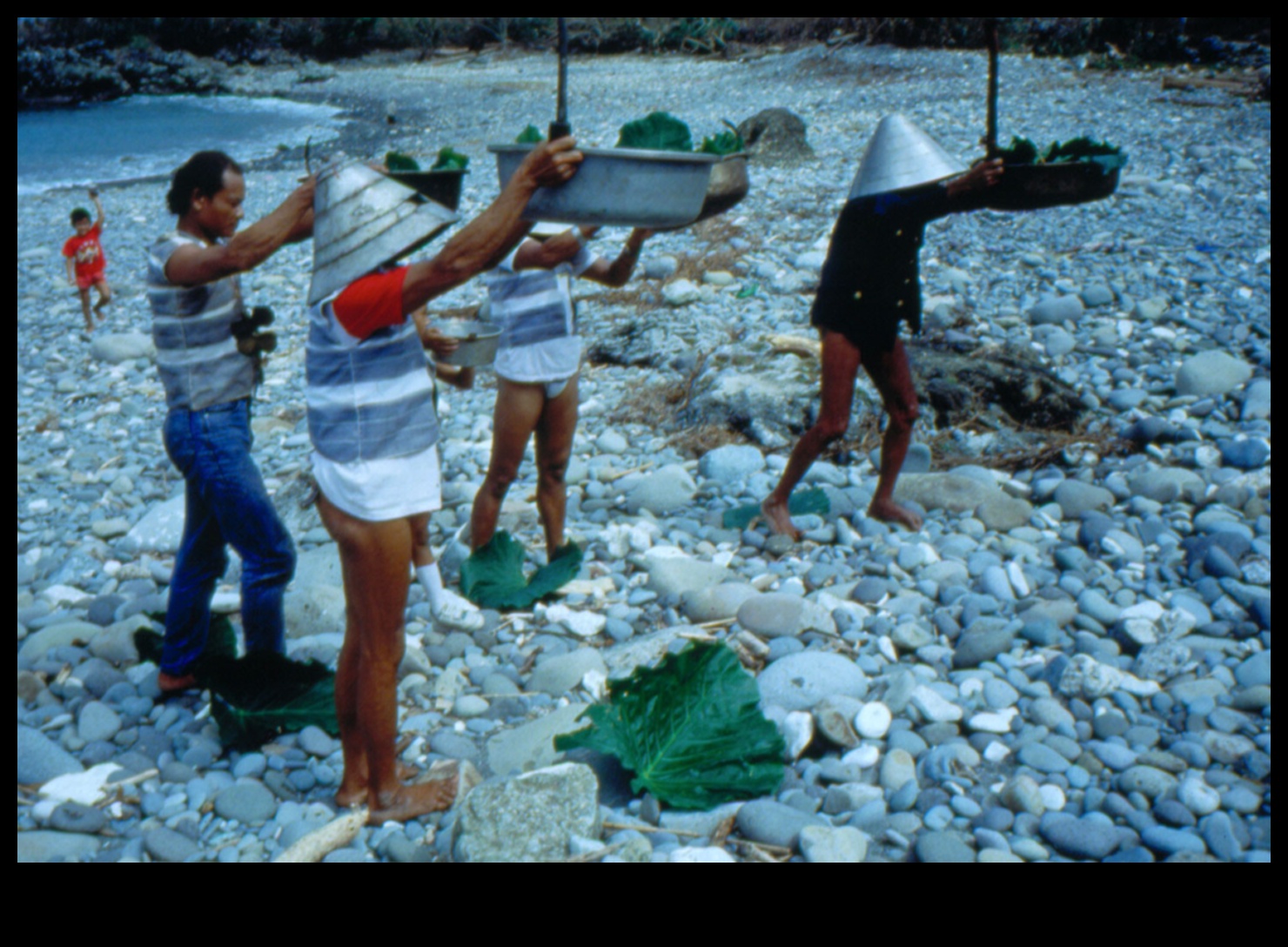 الشواطئ في التركيز الثاني: إعادة اكتشاف الأعاجيب الساحلية والساحلية