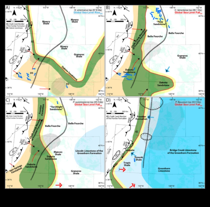 الشواطئ في التركيز الثاني: إعادة اكتشاف الأعاجيب الساحلية والساحلية