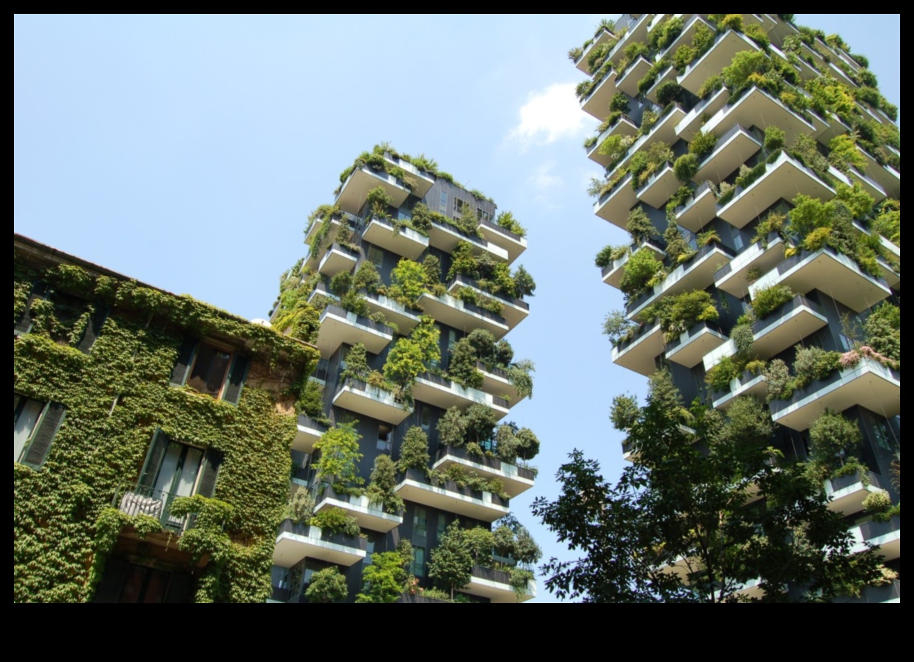 كيف تستجيب المناظر الطبيعية في الضواحي للحاجة إلى حياة مستدامة؟