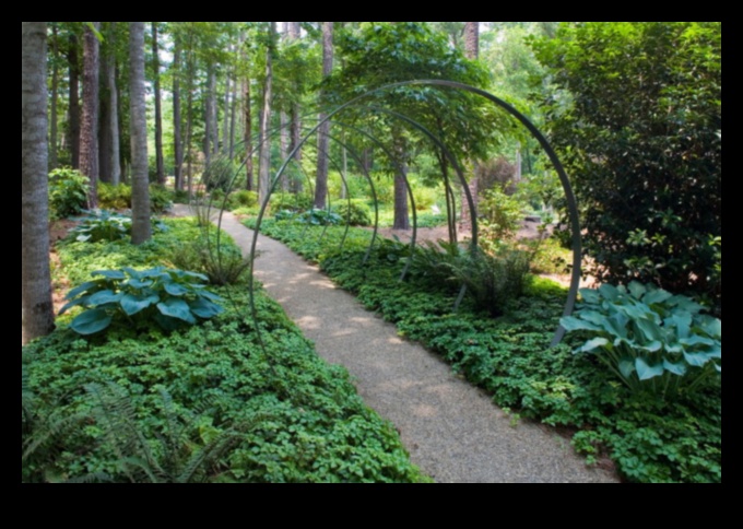 اكتشاف عدن: مجموعة من المناظر الطبيعية الخصبة والهادئة في كل إطار