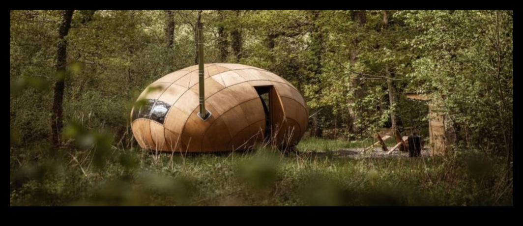 حراس الطبيعة: استكشاف المناطق الطبيعية المحمية